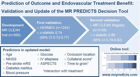 hermes steyerberg|Prediction of Outcome and Endovascular Treatment Benefit.